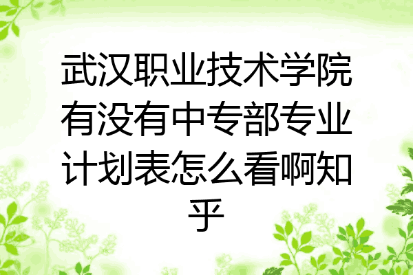 武汉职业技术学院有没有中专部专业计划表怎么看啊知乎