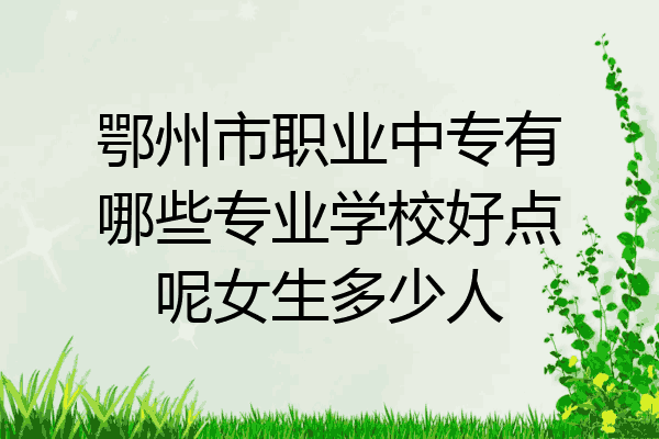 鄂州市职业中专有哪些专业学校好点呢女生多少人