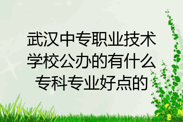 武汉中专职业技术学校公办的有什么专科专业好点的