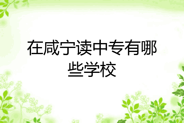 在咸宁读中专有哪些学校