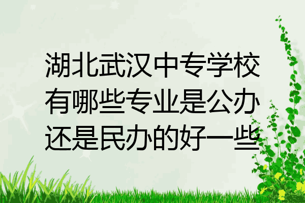 湖北武汉中专学校有哪些专业是公办还是民办的好一些