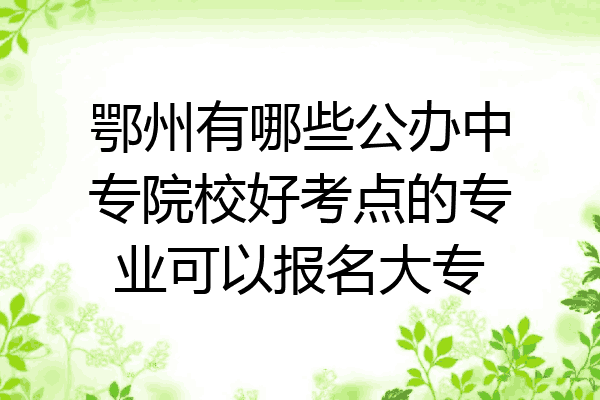 鄂州有哪些公办中专院校好考点的专业可以报名大专