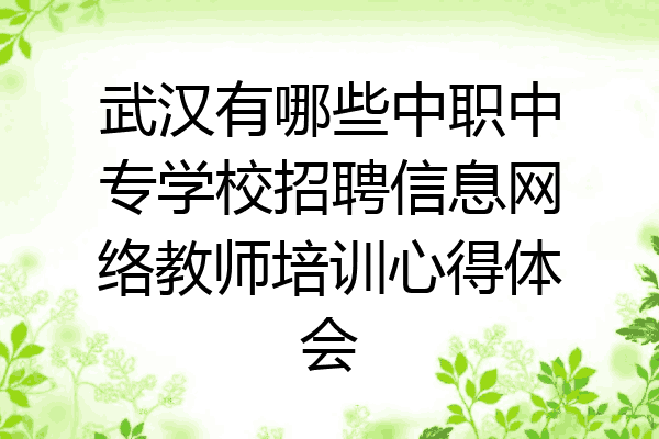 武汉有哪些中职中专学校招聘信息网络教师培训心得体会