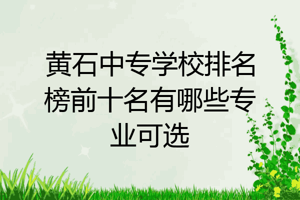 黄石中专学校排名榜前十名有哪些专业可选