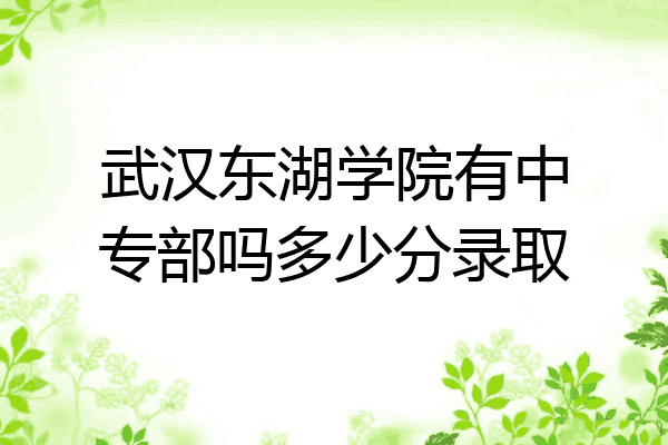 武汉东湖学院有中专部吗多少分录取