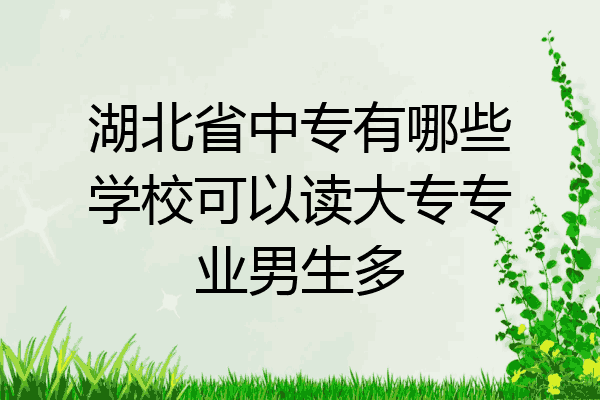 湖北省中专有哪些学校可以读大专专业男生多