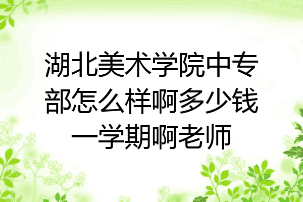 湖北美术学院中专部怎么样啊多少钱一学期啊老师