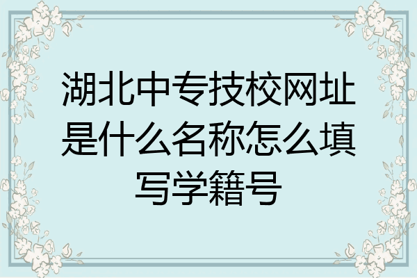 湖北中专技校网址是什么名称怎么填写学籍号