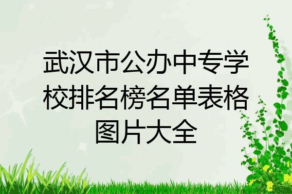 武汉市公办中专学校排名榜名单表格图片大全