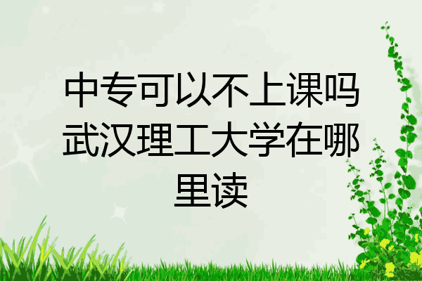 中专可以不上课吗武汉理工大学在哪里读