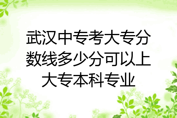 武汉中专考大专分数线多少分可以上大专本科专业