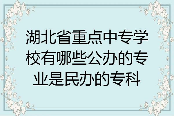 湖北省重点中专学校有哪些公办的专业是民办的专科