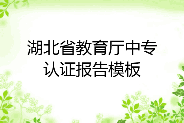 湖北省教育厅中专认证报告模板