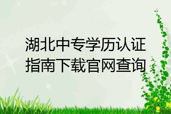 湖北中专学历认证指南下载官网查询