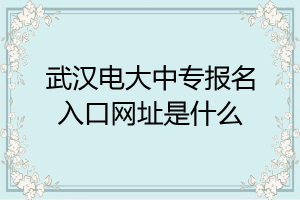 武汉电大中专报名入口网址是什么
