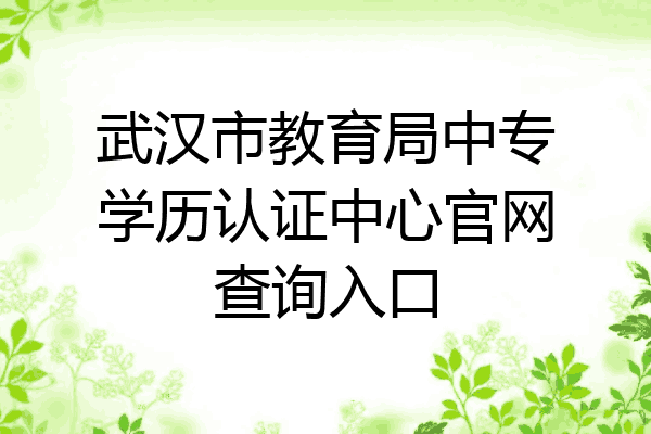 武汉市教育局中专学历认证中心官网查询入口
