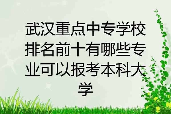 武汉重点中专学校排名前十有哪些专业可以报考本科大学