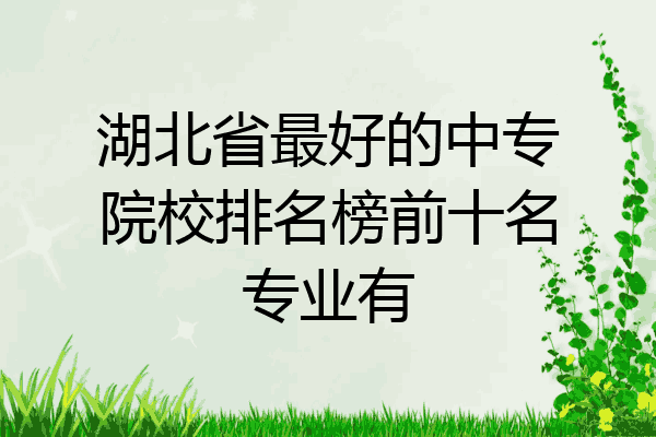 湖北省最好的中专院校排名榜前十名专业有