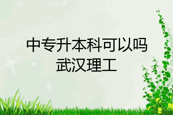 中专升本科可以吗武汉理工