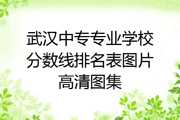 武汉中专专业学校分数线排名表图片高清图集