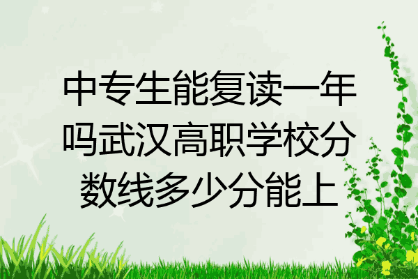 中专生能复读一年吗武汉高职学校分数线多少分能上