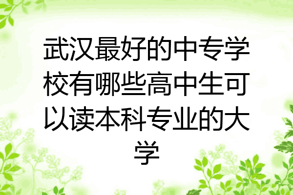武汉最好的中专学校有哪些高中生可以读本科专业的大学