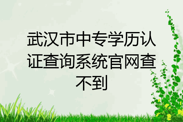 武汉市中专学历认证查询系统官网查不到