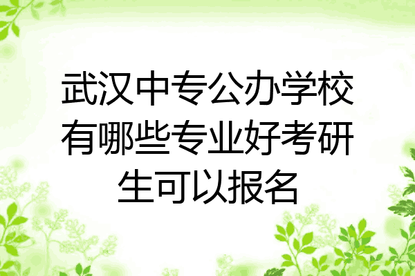 武汉中专公办学校有哪些专业好考研生可以报名