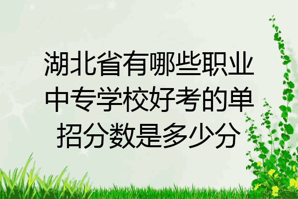 湖北省有哪些职业中专学校好考的单招分数是多少分