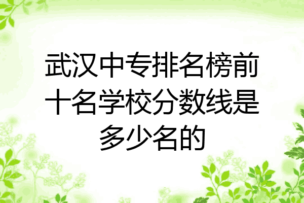 武汉中专排名榜前十名学校分数线是多少名的