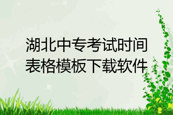 湖北中专考试时间表格模板下载软件