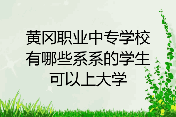 黄冈职业中专学校有哪些系系的学生可以上大学