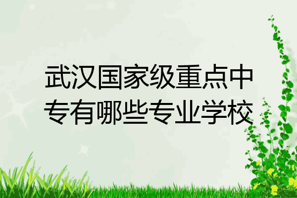 武汉国家级重点中专有哪些专业学校