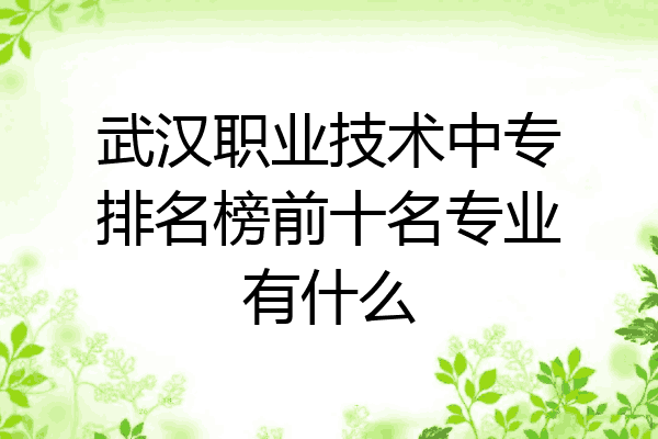 武汉职业技术中专排名榜前十名专业有什么
