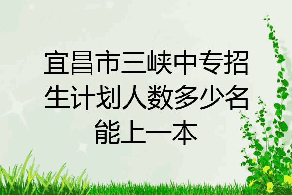 宜昌市三峡中专招生计划人数多少名能上一本