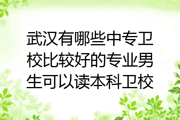 武汉有哪些中专卫校比较好的专业男生可以读本科卫校