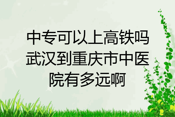 中专可以上高铁吗武汉到重庆市中医院有多远啊