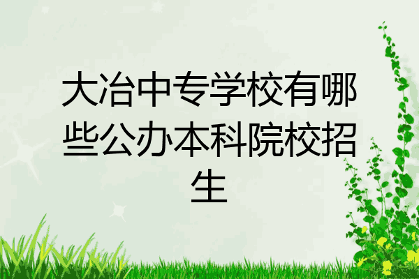 大冶中专学校有哪些公办本科院校招生