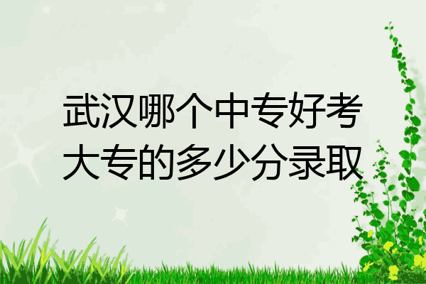 武汉哪个中专好考大专的多少分录取