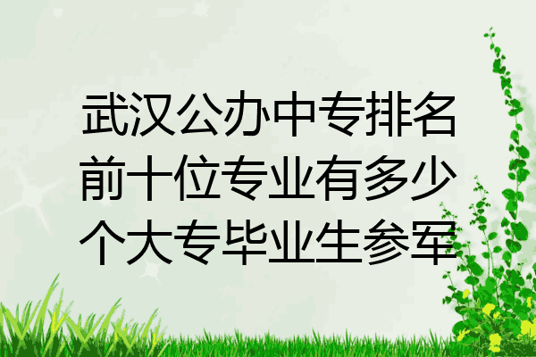 武汉公办中专排名前十位专业有多少个大专毕业生参军