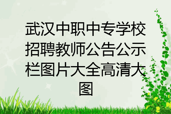武汉中职中专学校招聘教师公告公示栏图片大全高清大图