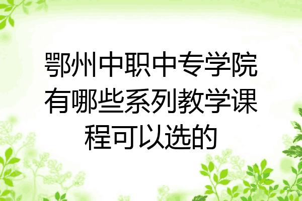 鄂州中职中专学院有哪些系列教学课程可以选的