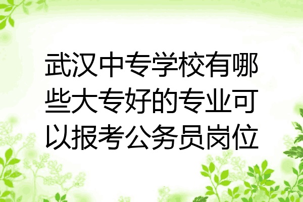 武汉中专学校有哪些大专好的专业可以报考公务员岗位