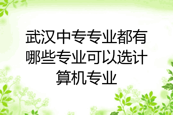 武汉中专专业都有哪些专业可以选计算机专业