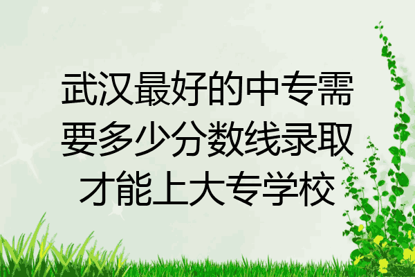 武汉最好的中专需要多少分数线录取才能上大专学校