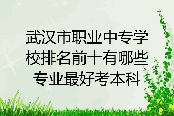 武汉市职业中专学校排名前十有哪些专业最好考本科