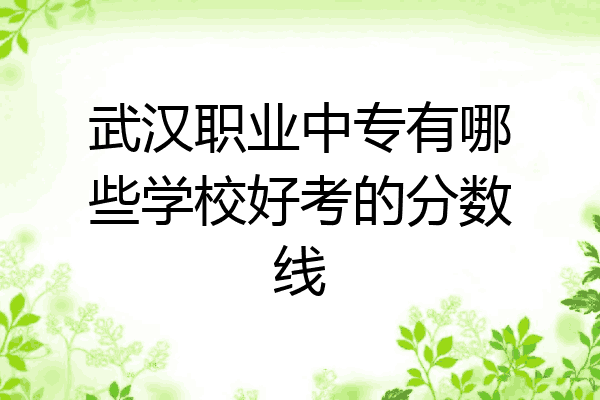 武汉职业中专有哪些学校好考的分数线