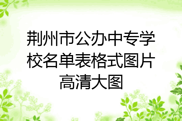 荆州市公办中专学校名单表格式图片高清大图