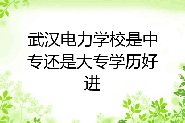 武汉电力学校是中专还是大专学历好进