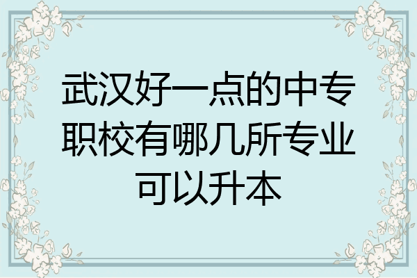 武汉好一点的中专职校有哪几所专业可以升本